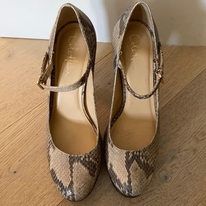 Cole Haan Mary Jane platform heels.